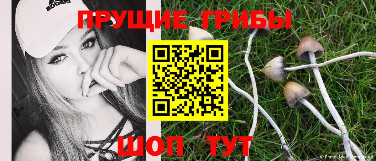Псилоцибиновые грибы MAGIC MUSHROOMS  Вход с VPN  Новоалтайск 